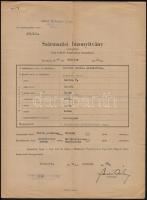 1939-1944 Zsolna nevű kanca származási bizonyítványa, csikólevele, 3 db