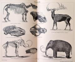 A Pallas Nagy Lexikona Az összes ismeretek enciklopédiája. 1-17. kötet. (2. pótkötet hiányzik)  Buda...