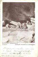 1912 Budapest XIV. Székesfővárosi állatkert, szenegáli oroszlánok a barlangban (sérült él / damaged edge)