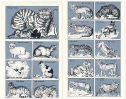 4 db gyufacímke ív