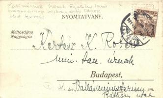 1921 Budapest, Zielinski hídja  és az a bizonyos csillag a Közmunkák tanácsa és városháza között. Dr...