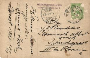 1908 Budapest VII. Hazslinszky gyógyszerész és társai Favorit szénsavgyár (Verseny utca 12.), csopor...