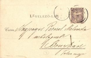 1900 Adony, Duna-Adony; Gépgyár és erdőlak, Templom utca, Szigetcsoport. Készítette Rosenbach S. fén...