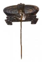 1954. "Budapest 1954" Magyarország-Anglia 6:3 futball mérkőzés visszavágójára, festett fém...