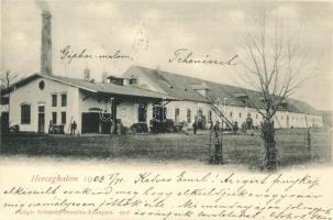 1903 Herceghalom, tehenészet, gépház-malom. A major tulajdonosa Sándor Móric gróf (az Ördöglovas)