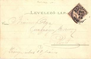 1901 Kastélyosdombó, Kastélyos-Dombó; Ivánkovits lak, utca, templom, Szeszgyár és malom