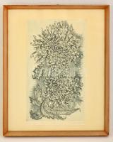 Bencze Klári (1925 -) : Kócos délia. Rézkarc, papír, jelzett, üvegezett keretben, 41×24 cm