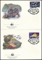 WWF Sea snails and shellfish set 4 FDC WWF: Tengeri csigák és kagylók sor 4 db FDC-n