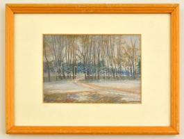 Lőrincz Ferenc (?- ): Erdő télen, pasztell, papír, hátulján jelzett, paszpartuban, üvegezett fa keretben, 11×17 cm
