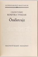 Vegyes művészeti tétel, közte Petőfi Irodalmi Múzeum, szentendreiek, és mások kiállítási katalógusai...