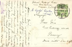 1914 Veszprém, Tüzérhadtest tisztikara / Hungarian K.u.K. military, artillery officers. photo (EB)