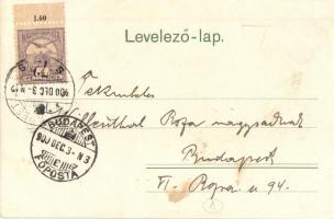 1900 Hunting dogs tearing apart the Krampus. S. 45. Neuber Ráfael s: E. Döcker