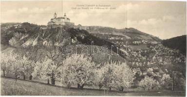 Újtelek, Neustift an der Rosalia; Fraknó vára. Három részes panorámalap / Forchtenstein / castle. 3-tiled panoramacard