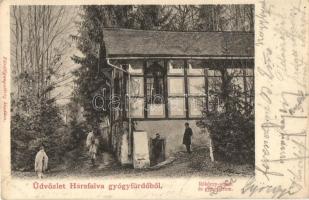 1905 Hársfalva-gyógyfürdő (Szolyva), Nelipino; Rákóczi sétaút és gyógyterem / promenade and spa
