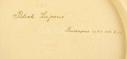 1894 Schütz Cilli falitál, közepén madár és virágok, kézzel festett mázas fajansz, kopott, jelzett, ...