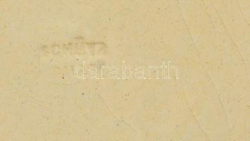 1894 Schütz Cilli falitál, közepén madár és virágok, kézzel festett mázas fajansz, kopott, jelzett, ...