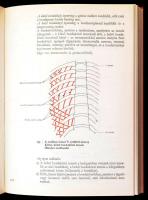 Dr. Miltényi Márta: A sportmozgások anatómiai alapjai. Bp.,1980, Sport. Kiadói egészvászon-kötés, jó...