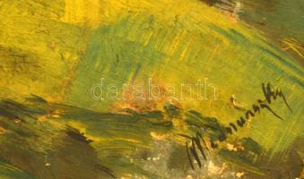 Mednyánszky jelzéssel: Fenyves. Olaj, karton, sérült, 40×26