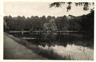 Jászó, Jászóvár, Jasov; Halas tó. Schwartz László kiadása / fishpond, lake