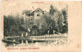 Lubló-fürdő, Kúpele Lubovna; Aurora villa / villa (felszíni sérülés / surface damage)