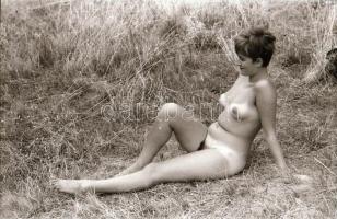 cca 1976 Erdei fészekrakó, szolidan erotikus felvételek, 24 db vintage negatív, 24x36 mm