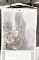 Akt és pornó reprók vegyesen, az 1960-as és 1970-es évekből, 87 db negatív, 24x36 mm