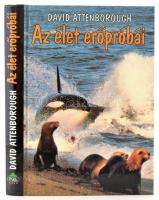 David Attenborough: Az élet erőpróbái. Fordította: Sárközy Elga. Bp.,1993, Park. Kiadói kartonált papírkötés.