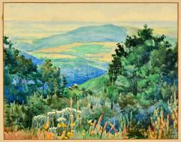 Olvashatatlan jelzéssel: Kilátás a hegyről. Akvarell, papír- karton, 39×49 cm
