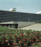 1968 Balatoni felvételek, 26 db szabadon felhasználható vintage negatív, 6x6 cm + 1970 Balatoni nega...