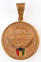 Kuvait DN Aranyozott fém sportérem füllel (52cm) T:2 Kuwait ND Gilt metal sport medal with ear (52cm) C:XF