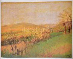 Mednyánszky. A bevezető tanulmányt írta: Aradi Nóra. Bp., 1983, Corvina. Kiadói aranyozott egészvász...