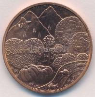 Ausztria 2012. 10E Cu "Stájerország" T:1- 
Austria 2012. 10 Euro Cu "Steiermark"...