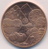 Ausztria 2012. 10E Cu "Stájerország" T:1- 
Austria 2012. 10 Euro Cu "Steiermark"...