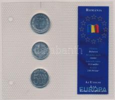 Románia 1999-2004. 500L-5000L (3xklf) Az utolsó Lej forgalmi pénzek forgalmi sor T:1 Romania 1999-2004. 500 Lei - 5000 Lei (3xdiff) The last Lei coins coin set C:UNC
