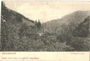 1907 Nagybánya, Baia-Mare; Fokhagymás völgy, kiadja Kovács Gyula / valley (vágott / cut)