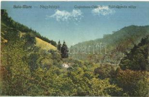 1907 Nagybánya, Baia-Mare; Fokhagymás völgy, Rosenstein könyvkereskedés kiadása / valley (EK)