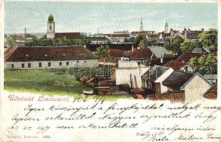 1902 Losonc, Lucenec; látkép zsinagógával / panorama view with synagogue (EK)