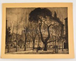 Nyári Lóránt (1928-1982): Park. Rézkarc, papír, jelzett, üvegezett fa keretben, 19,5×29 cm