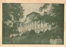 Felsőelefánt, Horné Lefantovce, Oberelefant; Báró Edelsheim-Gyulay Lipót kastélya (ma szanatórium) / Státny Liecebny ústav / castle (used as a sanatorium) (EK)