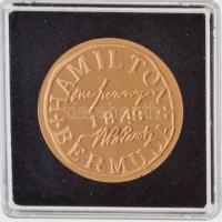 DN Világ Bélyegcsodái - Bermuda 1 penny 1849 aranyozott Cu bélyegérem tanúsítvánnyal (32mm) T:PP