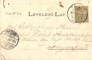 1905 Tövis, Teius; Piac részlet és főút, árusok, dohány üzlet, Római katolikus templom, Maros folyó ...