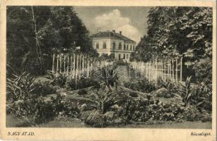 19 db régi főleg magyar városképes lap, vegyes minőség / 19 pre-1945 mainly Hungarian town-view post...