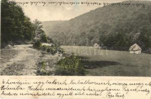 Ebedec, Obyce (Aranyosmarót mellett / near Zlaté Moravce); Részlet az ebedeci erdőből, kunyhó. Kiadja Brunczlik I. / detail of the forest, hut