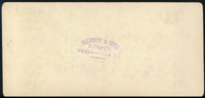 cca 1900 Budapest, Lánchíd, sztereokép, Calderoni és Társa, hátoldalán pecséttel jelzett, 9x18 cm