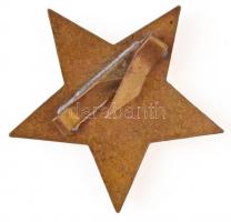 DN "SZIT" zománcozott jelvény (29x30,5mm) T:2 kis zománchiba