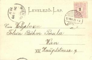 1899 Budapest, Ferenc József híd