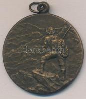 1949. "DSC Tájkép Felismerési Verseny II" Br díjérem, "LUDVIG BP" gyártói jelzés...