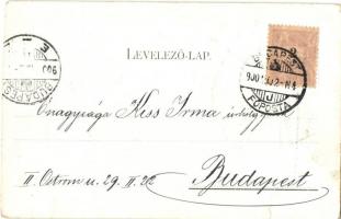 1900 Ami ide íródott levélnek, én is mögerősítöm, hogy igaz. Göre Gábor bíró úr. Göre levelezőlapok ...