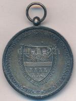 1940. "Erdélyi részek felszabadulásának emlékére" cink emlékérem mellszalag nélkül. Szign....