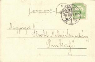 1908 Szombathely, Szily János utca. Özv. Fekete Istvánné kiadása